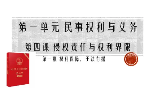 4.1 权利保障,于法有据(课件)高二政治《法律与生活》(统编版选择性必修2)