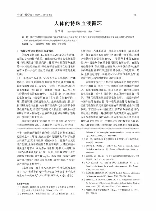 人体的特殊血液循环