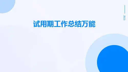 试用期工作总结万能PPT