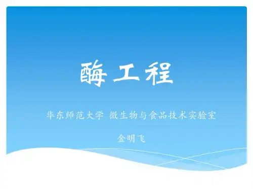 酶工程