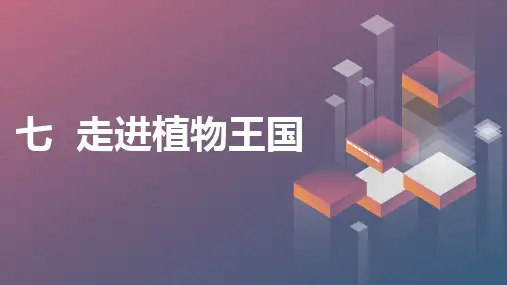 七走进植物王国(课件)粤教版三年级上册综合实践活动课