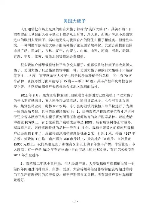 美国大榛子