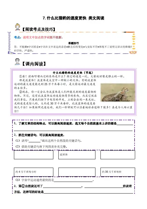 7.什么比猎豹的速度更快(试题)五年级语文上册  部编版(含答案、解析)