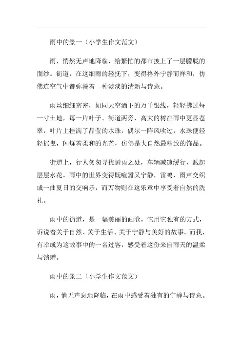 雨中的景小学生作文范文