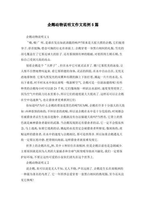企鹅动物说明文作文范例5篇