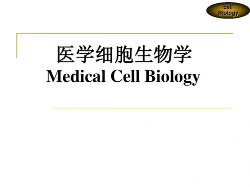 第十章 细胞连接与细胞粘连