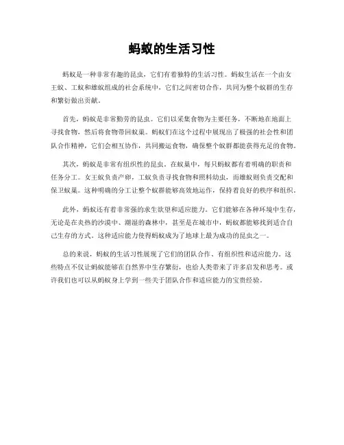 蚂蚁的生活习性