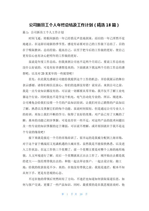公司新员工个人年终总结及工作计划(精选18篇)