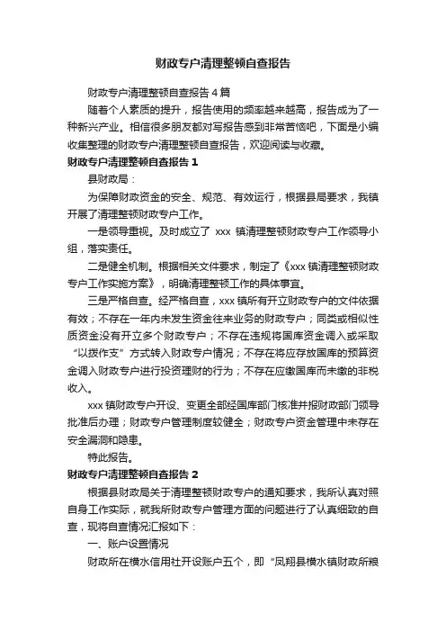 财政专户清理整顿自查报告4篇