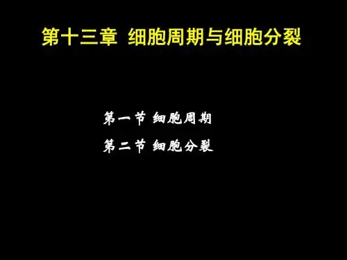 第十三章 细胞周期与细胞分裂