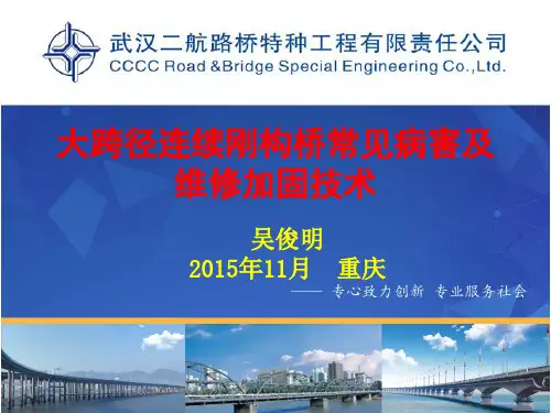 大跨径连续刚构桥常见病害及维修加固技术