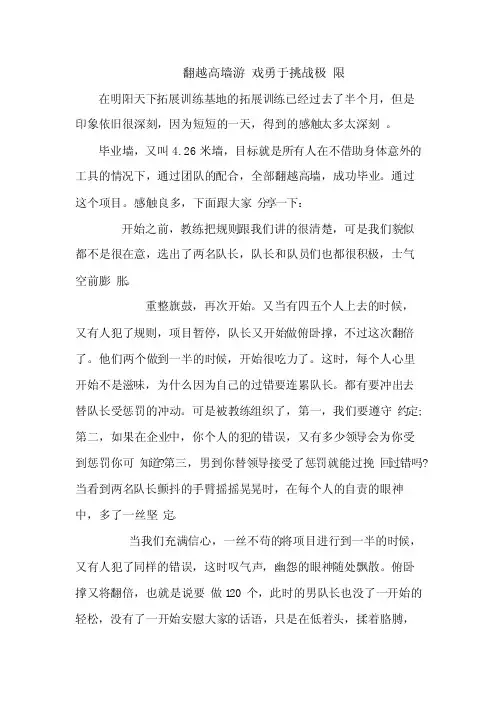 拓展心得体会：翻越高墙游戏