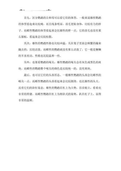 鹦鹉怎样分辨雌雄简单方法