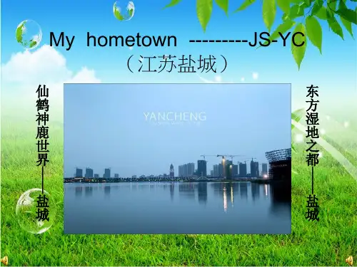 关于盐城的PPT