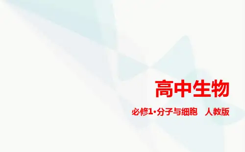人教版高中生物必修1第4章细胞的物质输入和输出第1节被动运输课件