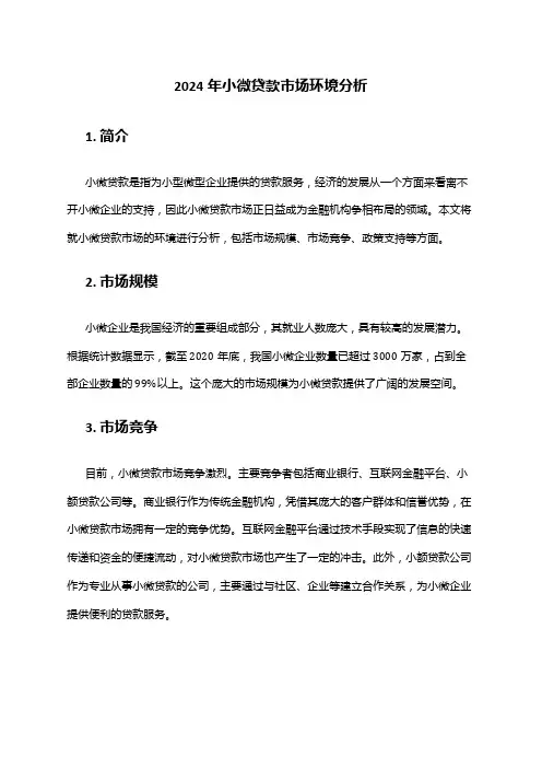 2024年小微贷款市场环境分析