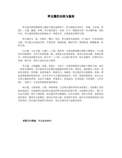 草豆蔻的功效与鉴别
