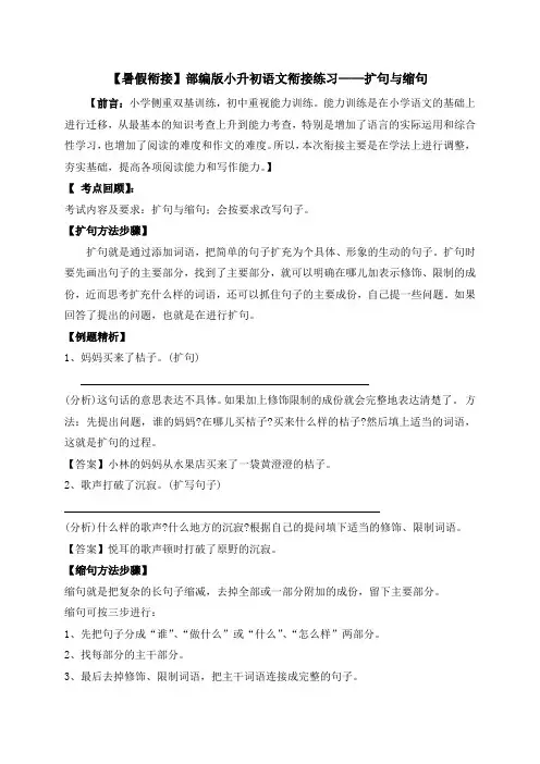 人教部编版小学六年级小升初语文衔接暑假练习：扩句与缩句(含答案,含解析)