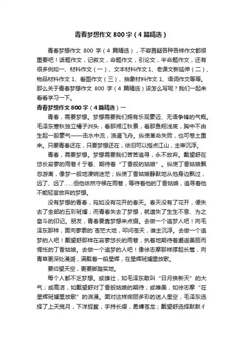 青春梦想作文800字（4篇精选）