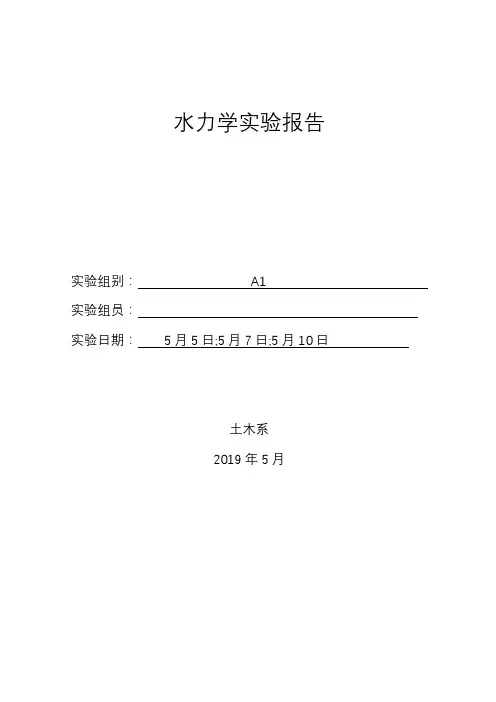 水力学实验报告