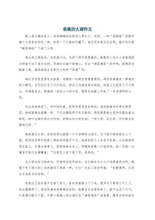 夜晚的大雨作文