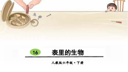 部编版六年级语文下册第15课《表里的生物》精美课件(共97张PPT)