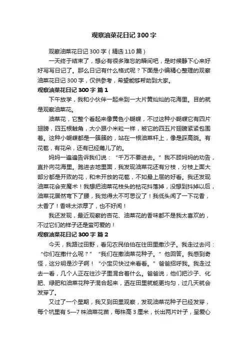 观察油菜花日记300字（精选110篇）