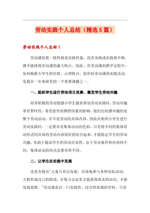 劳动实践个人总结(精选5篇)