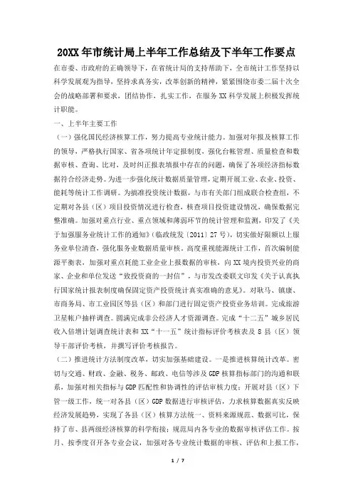 2019年市统计局上半年工作总结及下半年工作要点