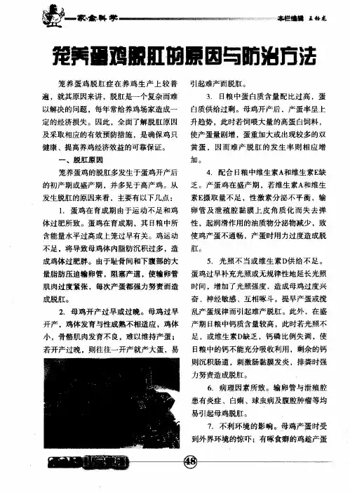 笼养蛋鸡脱肛的原因与防治方法