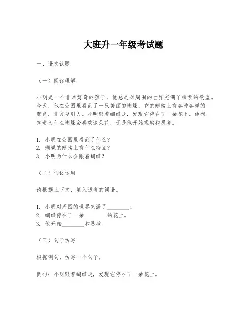 大班升一年级考试题