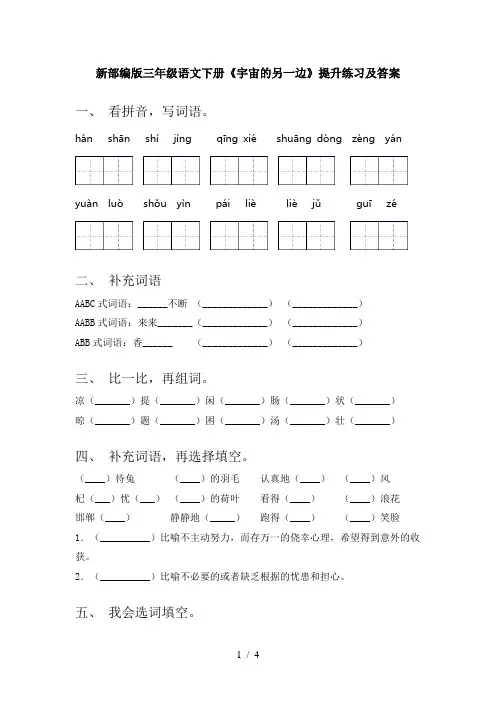 新部编版三年级语文下册《宇宙的另一边》提升练习及答案