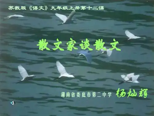 散文家谈散文PPT 苏教版 (共20张PPT)