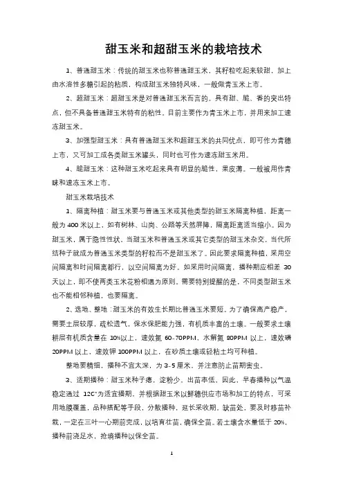 甜玉米和超甜玉米的栽培技术