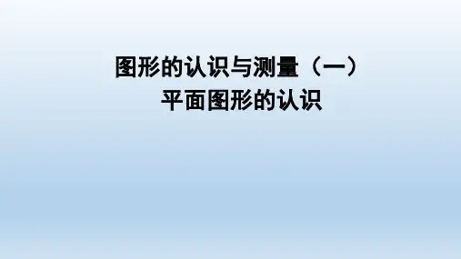 小学六年级数学下册 回顾整理--总复习专题2图形与几何 教学课件青岛版六三制