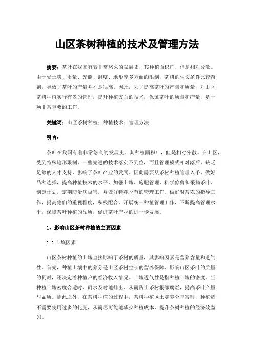 山区茶树种植的技术及管理方法