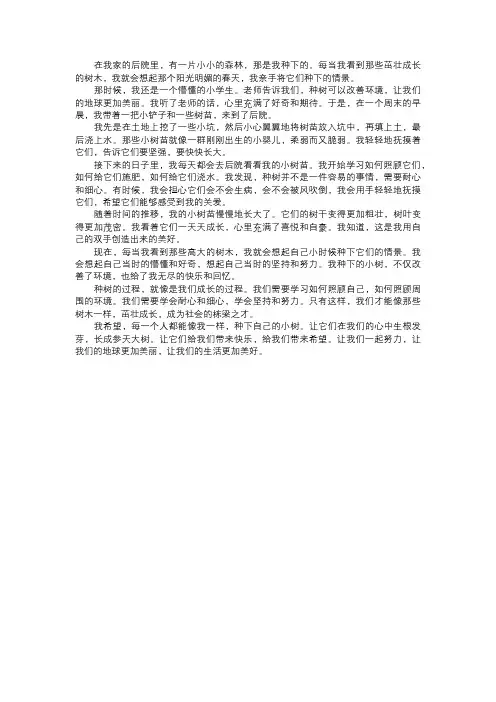 我种下的小树
