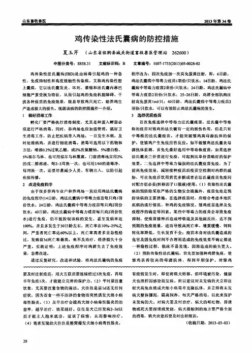 鸡传染性法氏囊病的防控措施