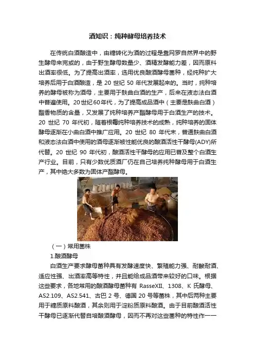 酒知识：纯种酵母培养技术
