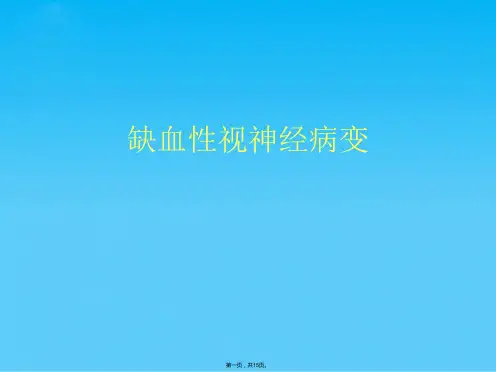 缺血性视神经病变(共15张PPT)