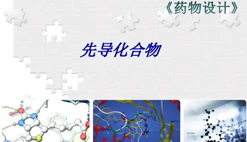《药物设计》先导化合物