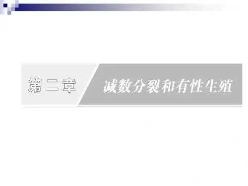 2.1  减数分裂 课件(苏教版必修2)