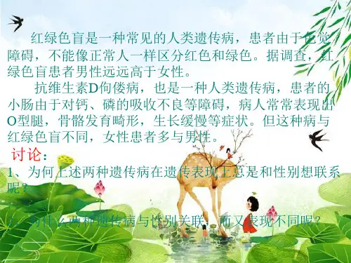 人教版高中生物必修二第2章第3节 伴性遗传 课件(共24张PPT)精选优质 课件