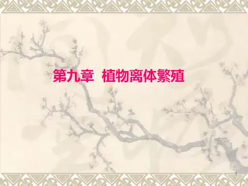 61第九章 植物离体繁殖PPT课件