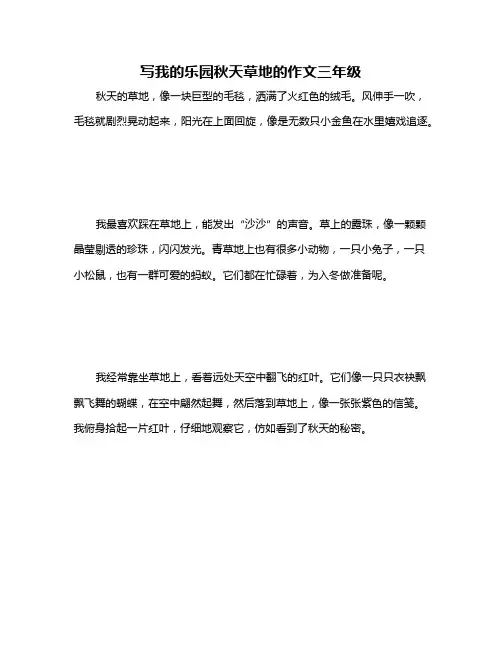 写我的乐园秋天草地的作文三年级