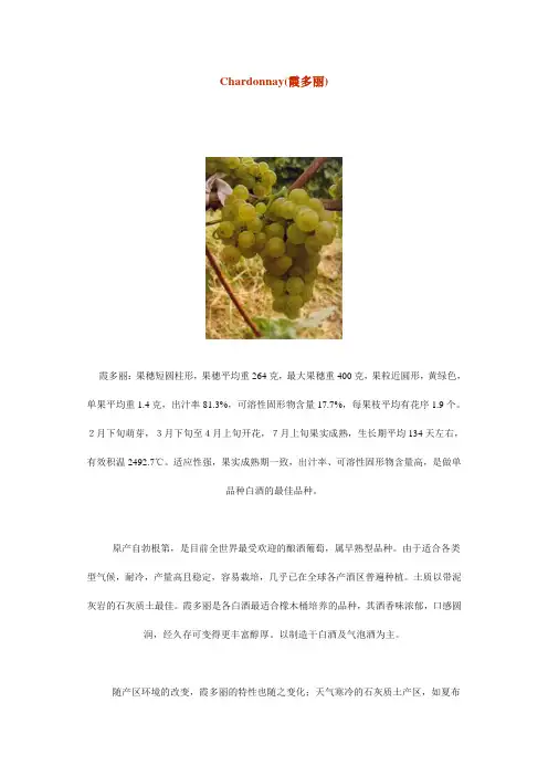 白葡萄品种的介绍