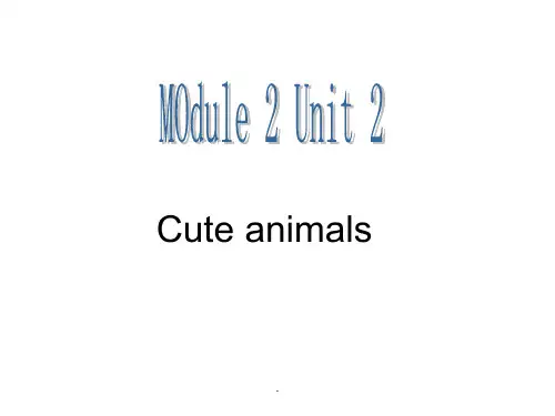 上海牛津英语四年级第二学期4B M2 U2 Cute animals(1)