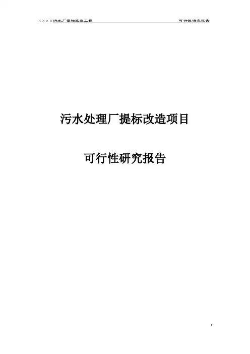 污水处理厂提标改造项目可行性研究报告