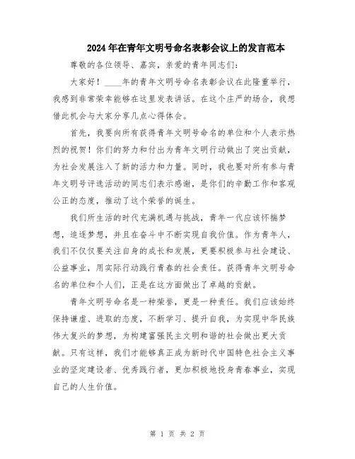 2024年在青年文明号命名表彰会议上的发言范本