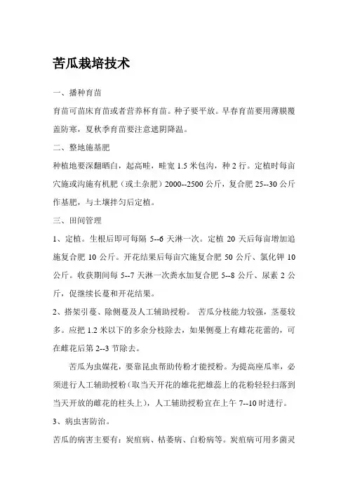 苦瓜栽培技术 2